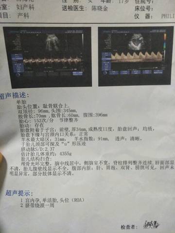 journal_insert_pic_927393925