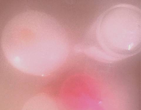 journal_insert_pic_927781980