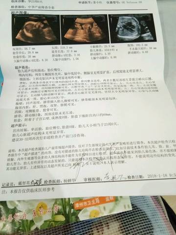 journal_insert_pic_927988533
