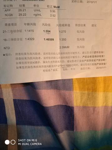 journal_insert_pic_928123074