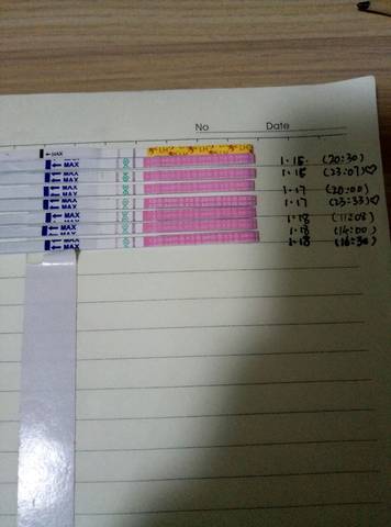 journal_insert_pic_928342574