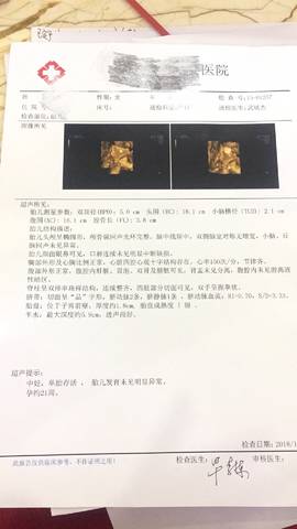 journal_insert_pic_928554303