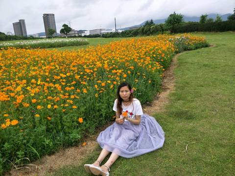 journal_insert_pic_929423967