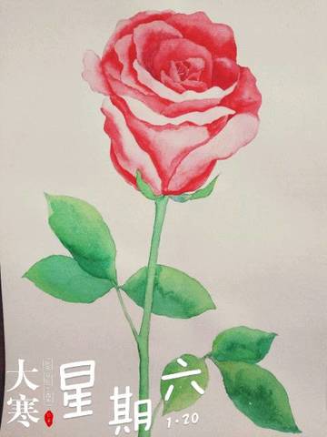 journal_insert_pic_929042047