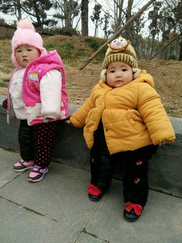journal_insert_pic_929434211