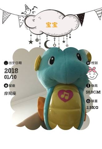 journal_insert_pic_929281498