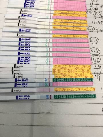 journal_insert_pic_929462461