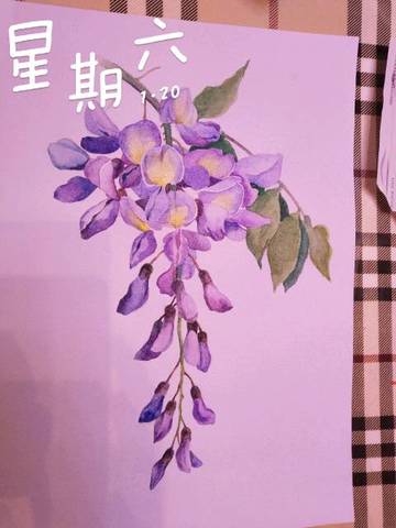 journal_insert_pic_929041991
