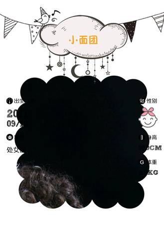 journal_insert_pic_929495222