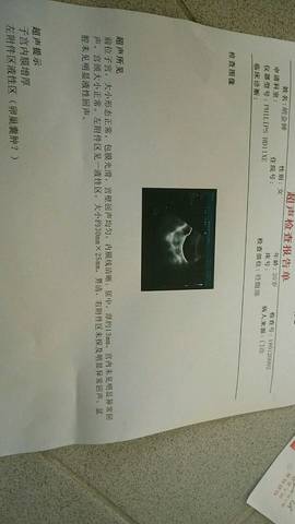 journal_insert_pic_929041277