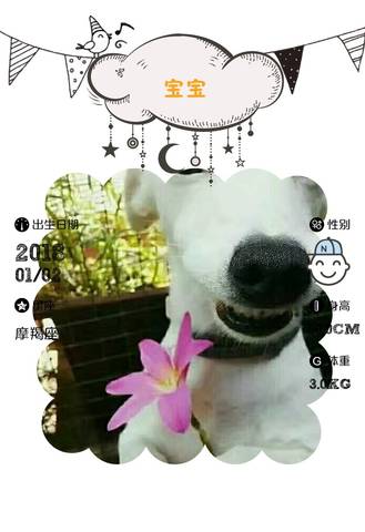 journal_insert_pic_929779235