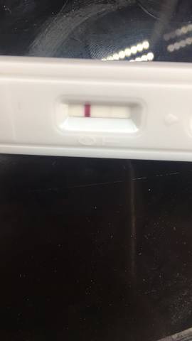 journal_insert_pic_929752586