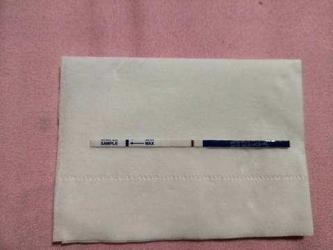 journal_insert_pic_930078579