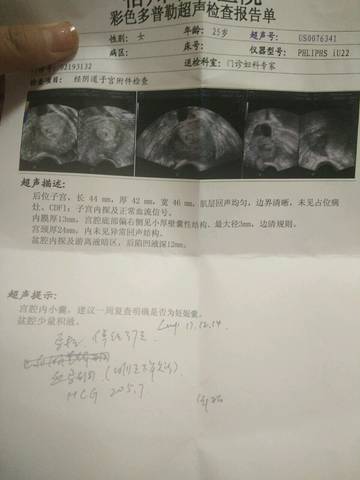 journal_insert_pic_929900954