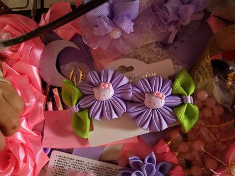 journal_insert_pic_930887467