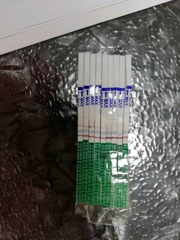 journal_insert_pic_930739351