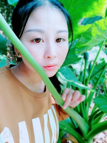journal_insert_pic_930910388