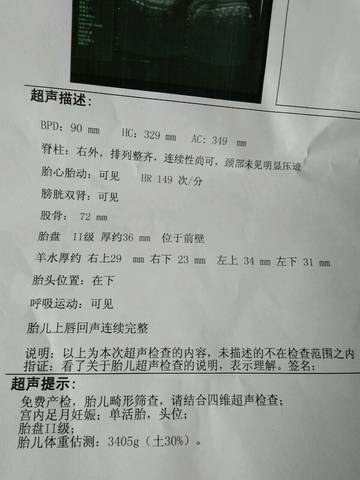 journal_insert_pic_931056265