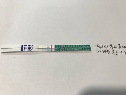 journal_insert_pic_931621815