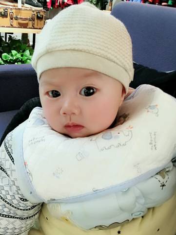 journal_insert_pic_931570214