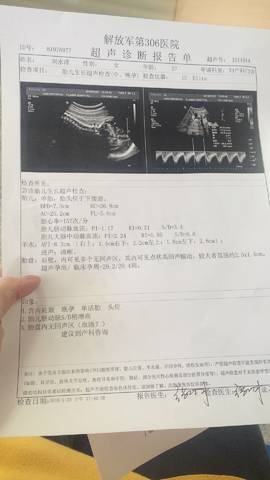 journal_insert_pic_931599098