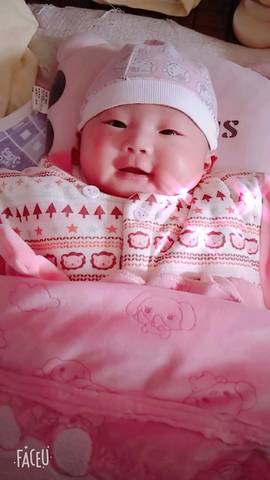 journal_insert_pic_931750612