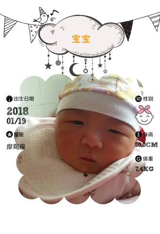 journal_insert_pic_935181874