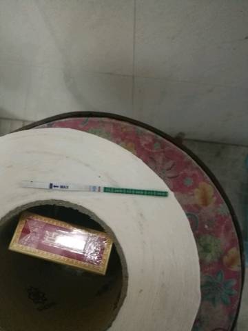 journal_insert_pic_935442645