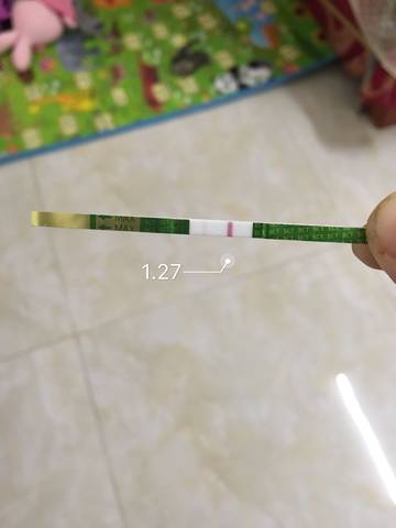 journal_insert_pic_935825465