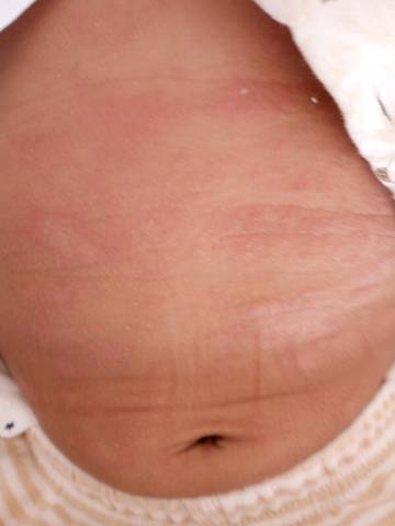 journal_insert_pic_935478221