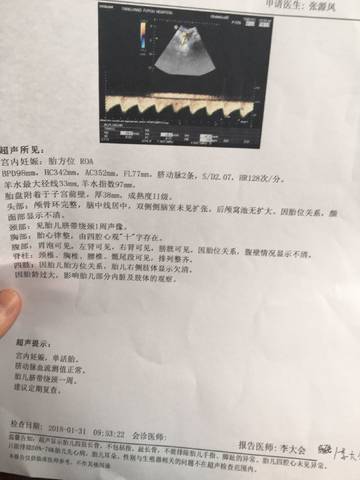 journal_insert_pic_936140329