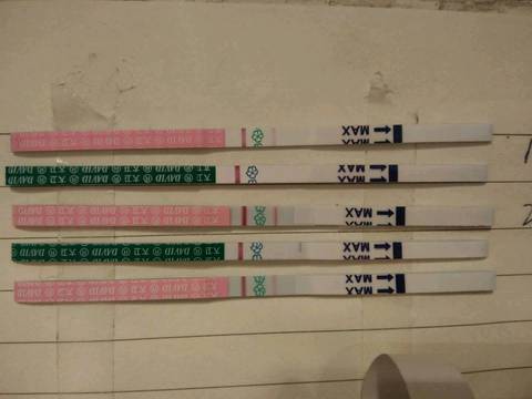 journal_insert_pic_936725984