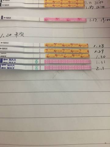 journal_insert_pic_937030706