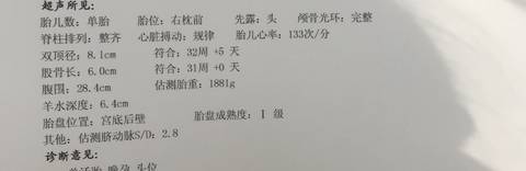 journal_insert_pic_937152729