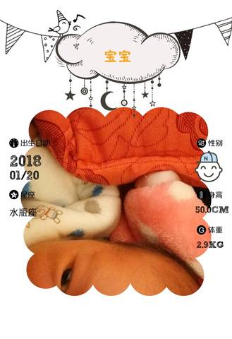 journal_insert_pic_937146855