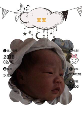 journal_insert_pic_937741497