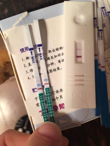journal_insert_pic_937779828