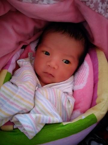 journal_insert_pic_937961830