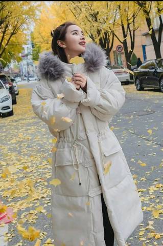 journal_insert_pic_938738163