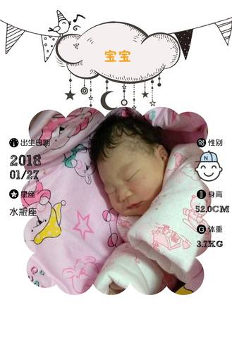journal_insert_pic_938365268
