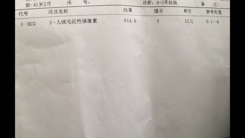 journal_insert_pic_939763668