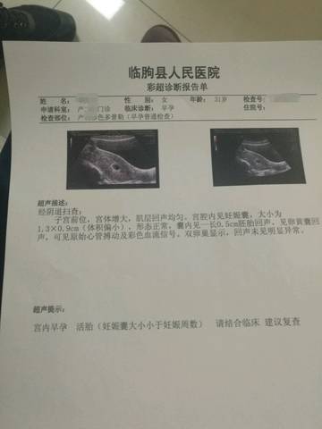 journal_insert_pic_939792326