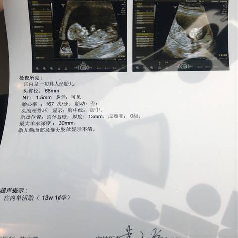 journal_insert_pic_940351173
