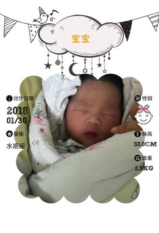 journal_insert_pic_940459152