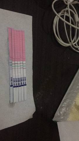 journal_insert_pic_940368934