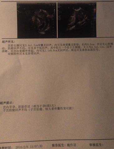 journal_insert_pic_940212244