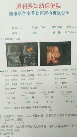 journal_insert_pic_941048002