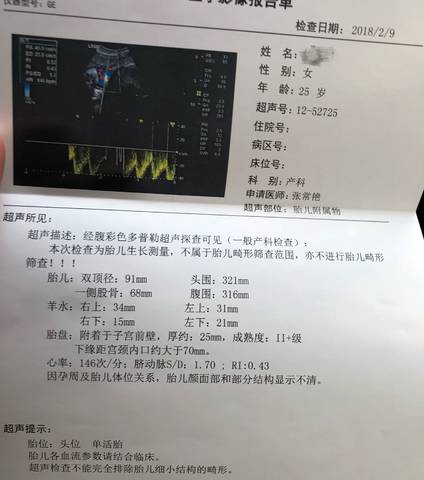 journal_insert_pic_941560313