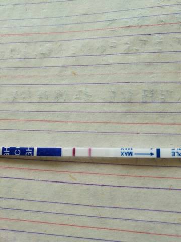 journal_insert_pic_942793708