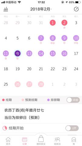 journal_insert_pic_943468722